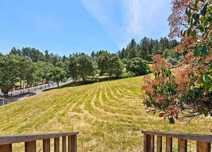 Sebastopol Farmhouse On 3 Acres, Fiber, Kid Friendly