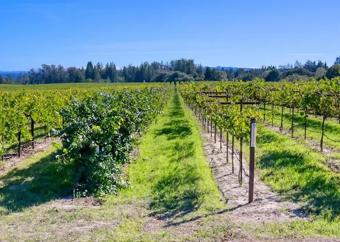 Moore Family Farmhouse - Wine Tastings Included